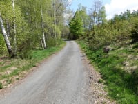 Grünen Berg von Warche