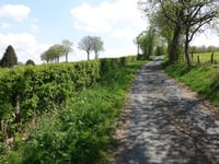 Grünen Berg von Warche