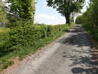 Grünen Berg von Warche