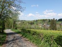 Grünen Berg von Warche