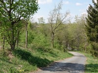 Grünen Berg von Warche