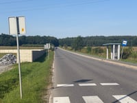 Grzybowiec von Przerzeczyn-Zdrój