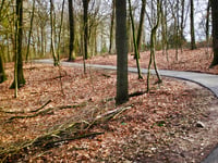 Gulden Bodem