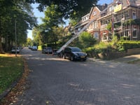Gulden Hart von Sonsbeek