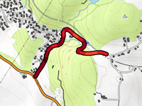 Gullaugkleiva