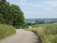 Gulperberg depuis Partij