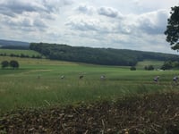 Gulperberg depuis Partij