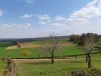Gulperweg vanuit Eperheide