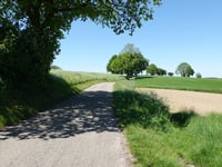 Gulperweg vanuit Eperheide