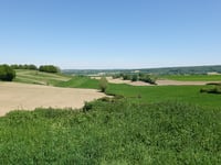 Gulperweg vanuit Eperheide