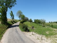 Gulperweg vanuit Eperheide