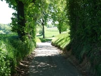 Gulperweg vanuit Eperheide