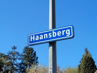 Haansberg von Bodemplein