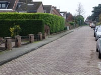 Haansberg von Bodemplein