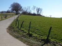 Haarberg über Birkenweg