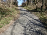 Haarberg über Birkenweg
