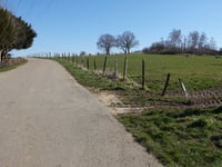 Haarberg über Birkenweg