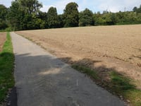 Haarberg über Dirgeltweg