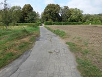 Haarberg über Dirgeltweg