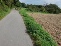 Haarberg über Dirgeltweg