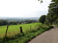 Haarberg über Dirgeltweg