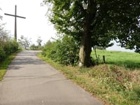 Haarberg über Dirgeltweg