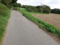 Haarberg über Lindenweg