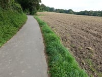 Haarberg über Lindenweg