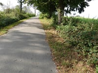 Haarberg über Lindenweg