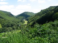 Haardtkopf from Veldenz via Gornhausen