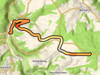 Haardtwald da Büdlich via Talling