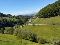 Häckligen vanuit Wynigen