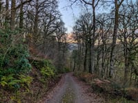 Haddon Hill von Hartford