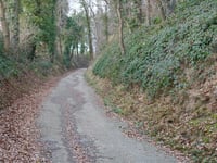 Hagendoornweg von Oirsbeek