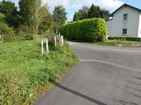 Hagenfeuer über Heide