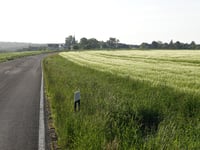 Hahn Airport da Enkirch