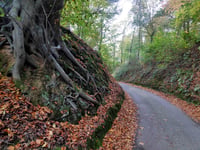 Hahnenberg von Lind