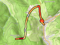 Halbwasenberg von Hessenthal über Neuer Weg
