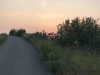 Halde Haniel