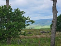 Hall Hill from Doeford Bridge