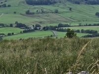 Hall Hill von Whitewell