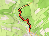 Hallenberg von Braunshausen