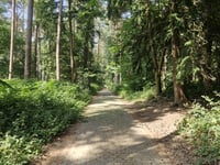 Trouée d'Hallerbos / Hallerbos über Kapittel