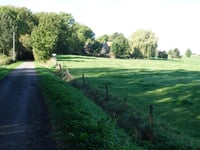 Halleaux über Bois de Halleux