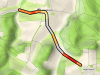 Halmsried von Wollomoos