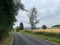 Ham Hill von Ham