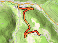 Hambrunn von Schneeberg
