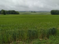Hameau le Bois Julien from Course