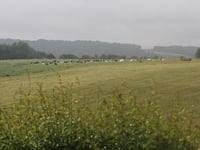 Hameau le Bois Julien from Course