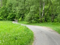 Hamštejn depuis Smrčí